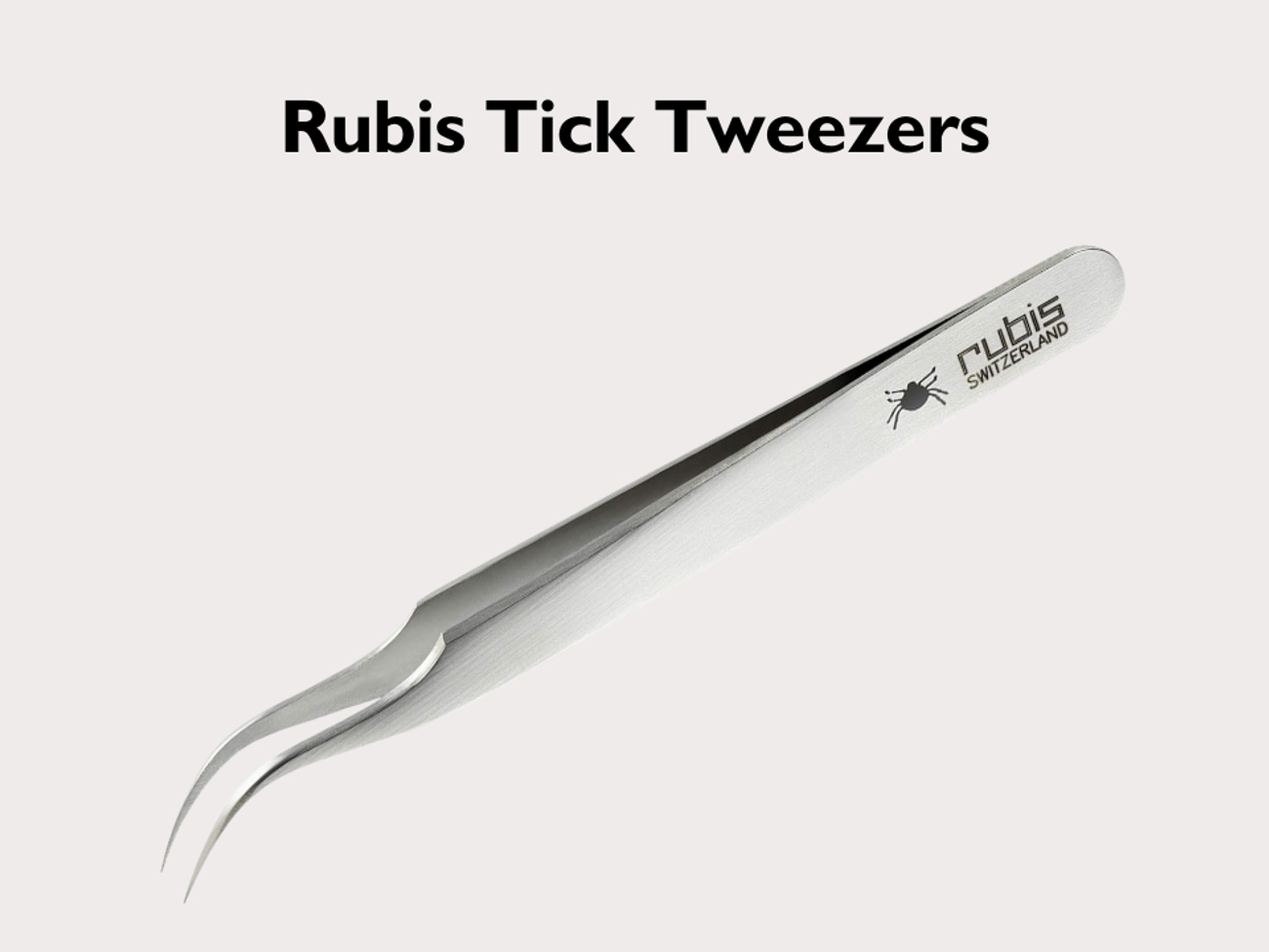 August 2025 Rubis (4) Blog